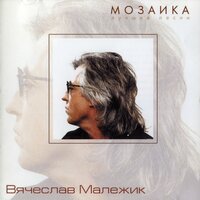 Вячеслав Малежик - Провинциалка