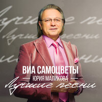 ВИА Самоцветы Юрия Маликова - Увезу тебя я в тундру