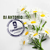 Dj Antonio - 9 хризантем